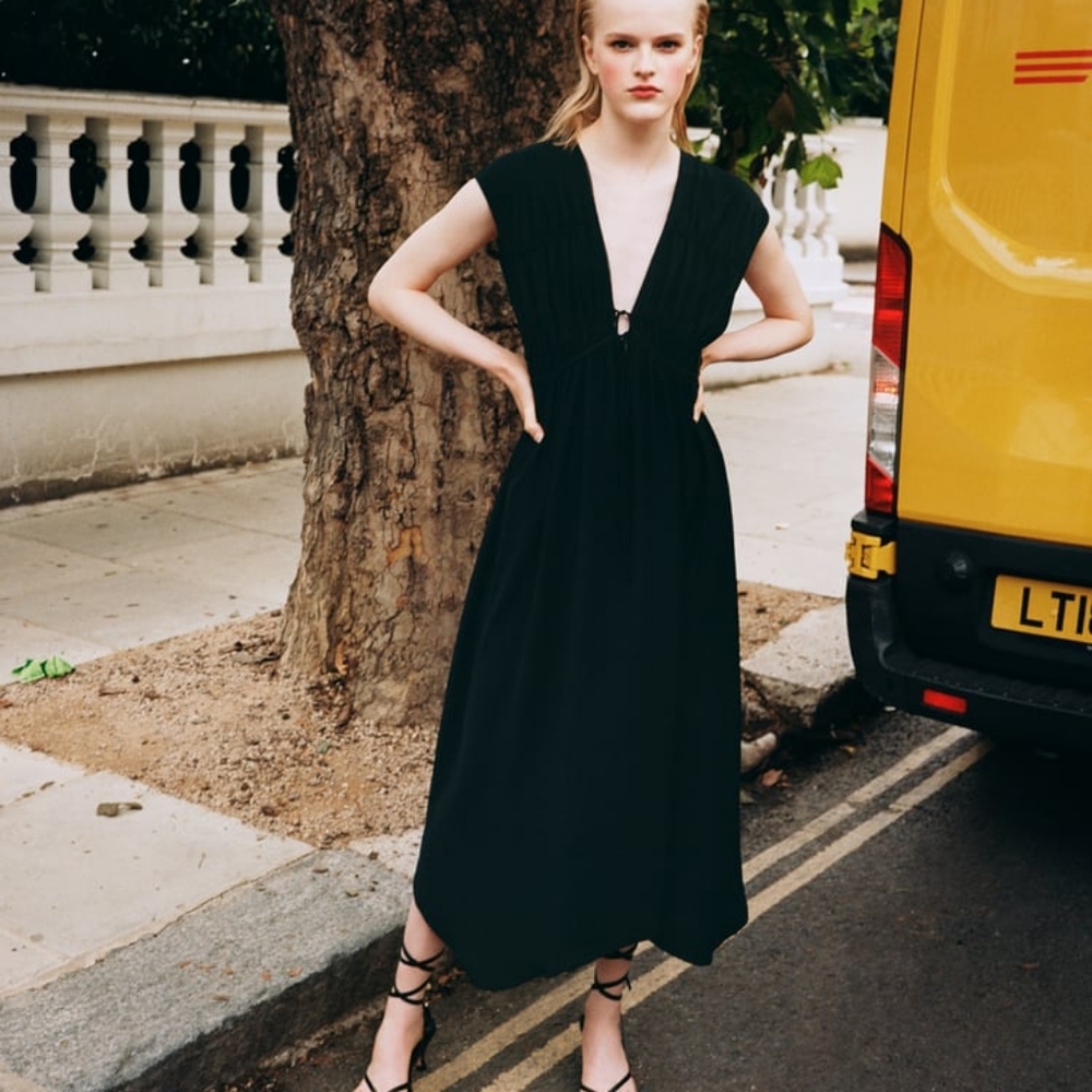 Zara dress